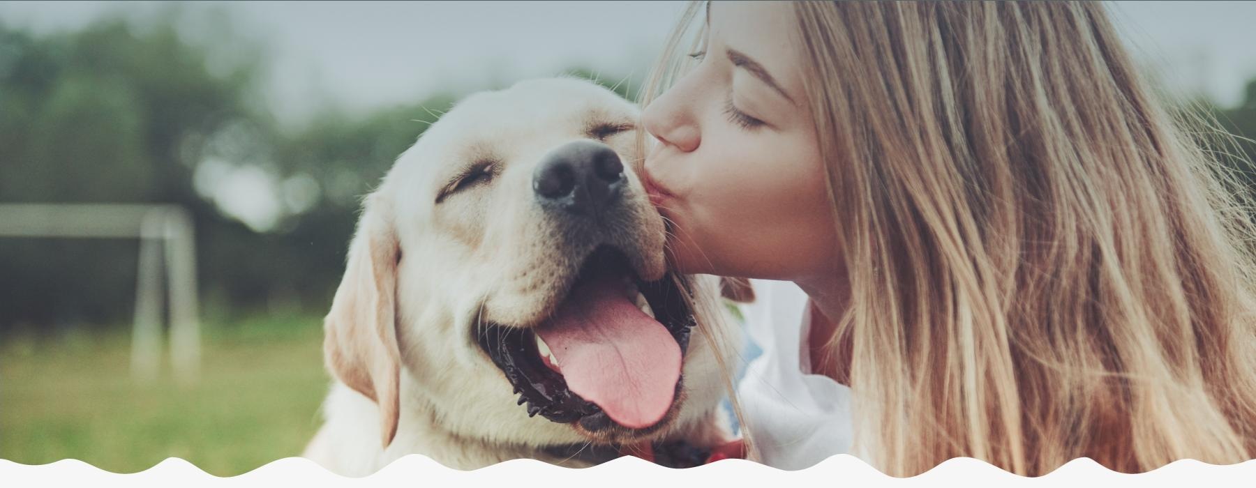 a person kissing a dog